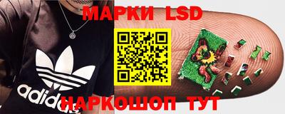 spice Шахты