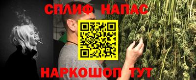 шишки Шебекино