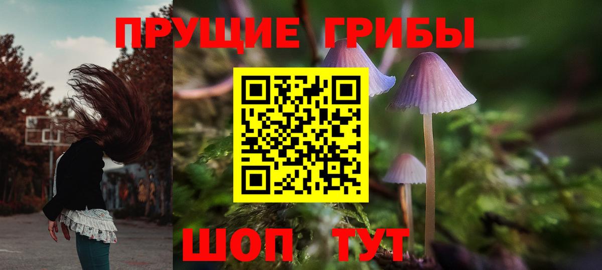 Галлюциногенные грибы Psilocybine cubensis  Псилоцибиновые грибы Psilocybine cubensis  Вход с VPN  Ачхой-Мартан 